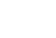 Logo New Zealand Steel